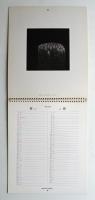 hamaguchi's six color mezzotints Calendar 1979