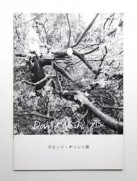 デビッド・ナッシュ展