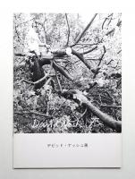 デビッド・ナッシュ展