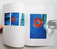 東野芳明 : Yoshiaki Tono photographs 1987
