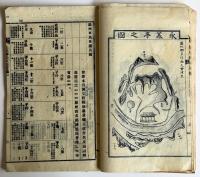 羅州林氏世譜正字公派十一巻