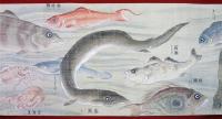 彩色魚類図（02の024）