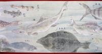 彩色魚類図（02の024）