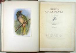 ハドソン著ラプラタ地方鳥類図譜（01の213）