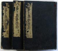 夢占輯要指南（04の119）
