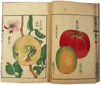 菓木栽培法（06の081）