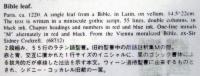 55行ラテン語聖書零葉（7の172）