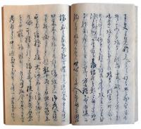 大橋訥庵自筆坂下門外の変上書（7の76）