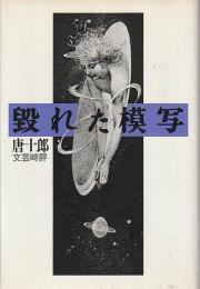 毀れた模写 : 文芸時評