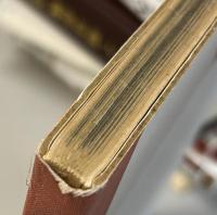 決して忘れはしない　ナチス虐殺の記録