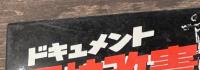 ドキュメント　軍拡改憲潮流