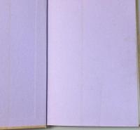 侠客竹居の吃安　正伝　上下