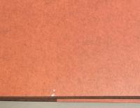 ナチス第三帝国事典