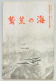 海の荒鷲