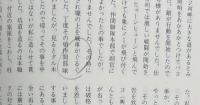 工兵第三十三連隊戦記