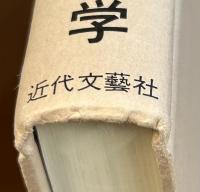 チンドウイン河漂流記