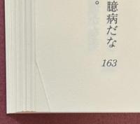 抗命の軍将　嗚呼、インパール・佐藤中将の悲劇