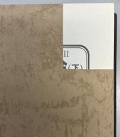 戦時下の言論　上下