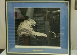 2003年　阪神タイガース優勝記念