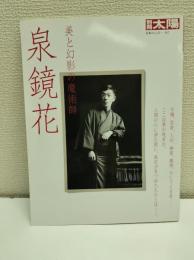 泉鏡花 : 美と幻影の魔術師