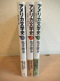 アメリカ文学史　3冊