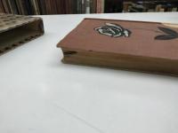 嬢一代　縮刷涙香集11
