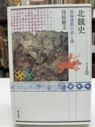 北魏史