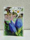 森吉山の花図鑑