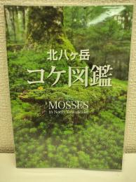 北八ヶ岳　コケ図鑑
