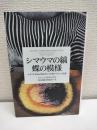 シマウマの縞蝶の模様 : エボデボ革命が解き明かす生物デザインの起源