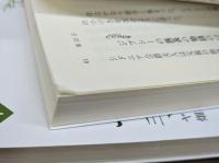 サラゴサ手稿 全3冊揃い （岩浪文庫 赤N519-1.2.3）