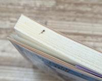 清沢満之集 (岩波文庫 青127-2)