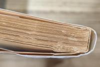 本朝画人伝 全8冊揃い (中公文庫)