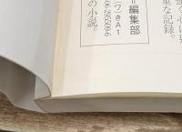 自伝的女流文壇史（講談社文芸文庫）