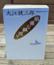 厳粛な綱渡り（講談社文芸文庫）