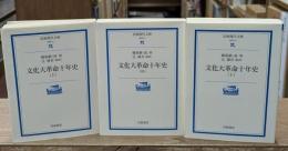 文化大革命十年史　全3冊揃い（岩波現代文庫G72-74）