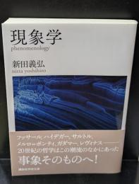 現象学（講談社学術文庫2153）