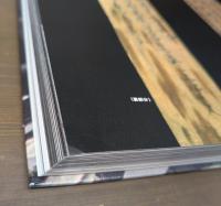 運慶 : 興福寺中金堂再建記念特別展