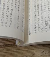 とりかへばや物語　全4冊揃い（講談社学術文庫）