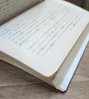 アイヴァンホー 上下2冊揃い (岩波文庫 赤219)