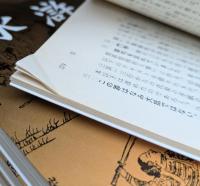 水滸伝 : 完訳 全10冊揃い （岩波文庫 赤16-17）