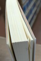 チベット仏教王伝 (岩波文庫 青498-1)