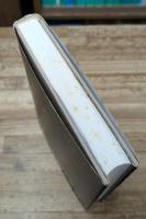 やぶれさる探偵 : 推理小説のポストモダン