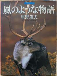 Alaska風のような物語