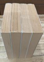 シンボル形式の哲学 全4冊揃い （岩波文庫 青673）