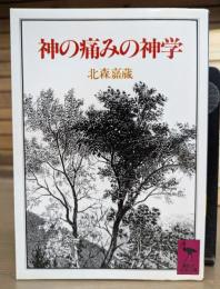 神の痛みの神学 (講談社学術文庫 743)
