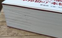 カール・シュミット入門講義