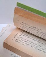 頼山陽とその時代 全3冊揃い (中公文庫)
