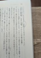 大菩薩峠　全20冊揃い（ちくま文庫）