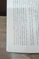 牡猫ムルの人生観　上下2冊揃い（岩波文庫赤414-3・4）